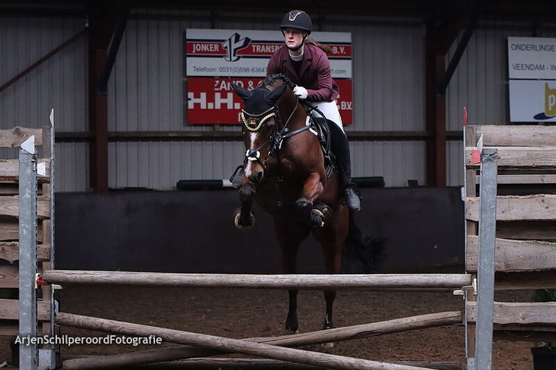 CH Nieuwe Pekela 12-11-2022 80cm