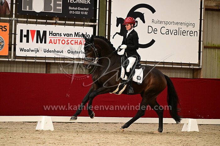 Martine van Vliet - Primeur