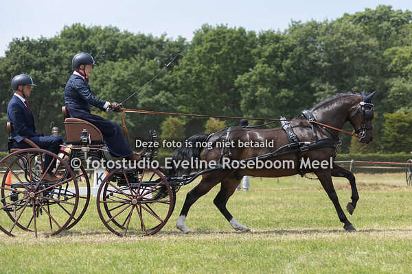 Wenum Wiesel SGMW 12-7-2025  - dressuur