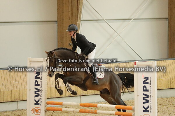 7 Pinacolada van Seldsum (Dominator Z x namelus)