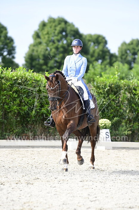 Chantal Verdonk - Gregwaard