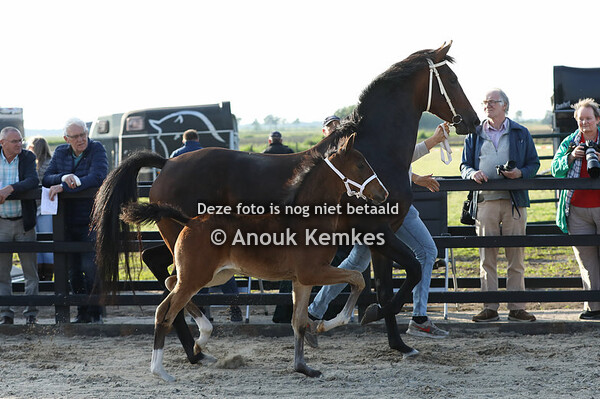 Ugea ( Macho x Idol ) 