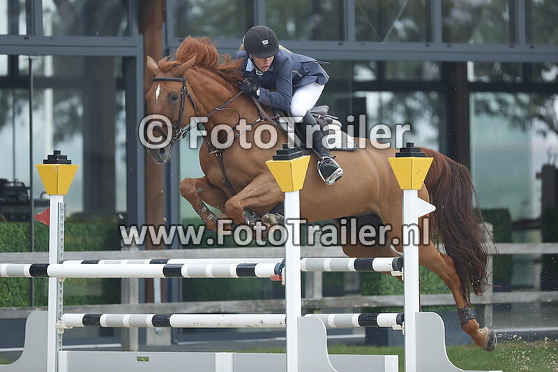 andrea van scheltinga