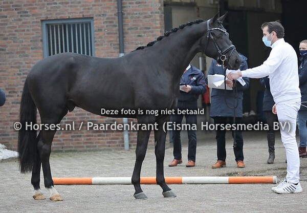 17-02-2021 HK KWPN attest en nakeuring