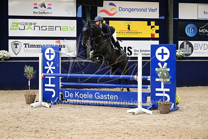 Julia van der Heijden - Fame DK