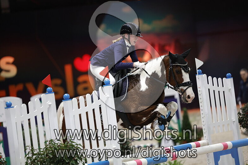 Stal Hettingas Donder