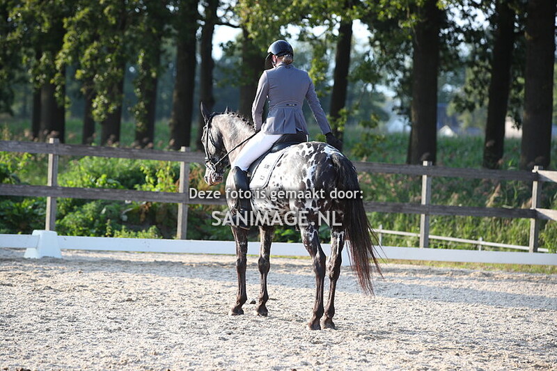 Groenewoude Dressuur 15-09-2024 16.40 - 18.30 uur