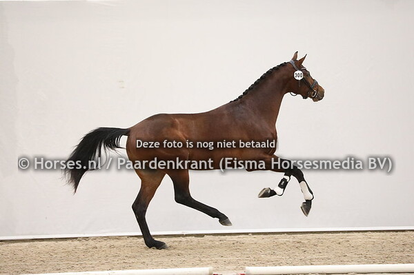 300 All You Want x Johnson