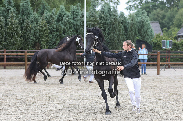 77. Silke-Anne fan Midsheide