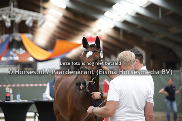 18 Marola (Malibu TN x Evarola v. Namelus R)