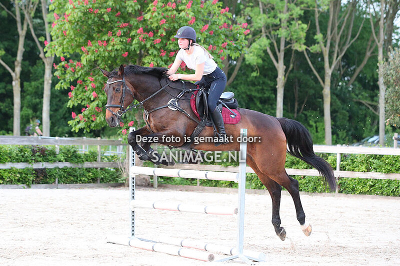 Bart vd Maat Springclinic 17-05-2022 Groep 3+4