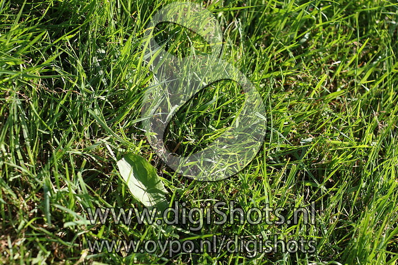 Ring 6 Klasse Z2 kur