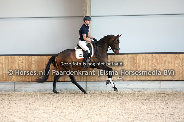 30 Summer V (Indian Rock x Summer Time v. Flemmingh)