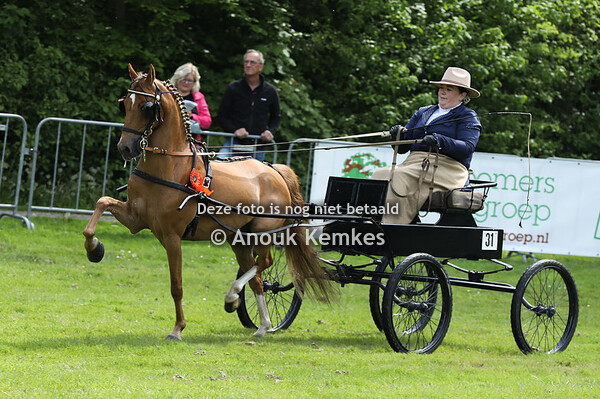 Hackney Kleine Limiet