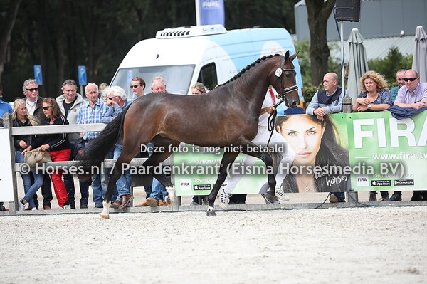 178 Lotus-Pomona (De Niro x Duzette v. Tango)