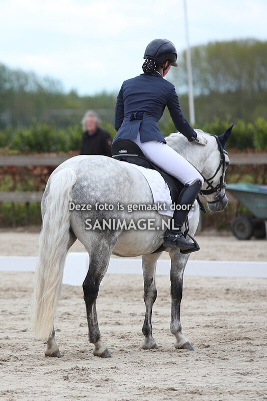 Zilfia's Hoeve Dressuur 28-04-2024 Ring 1 Pony's L2/M en Z
