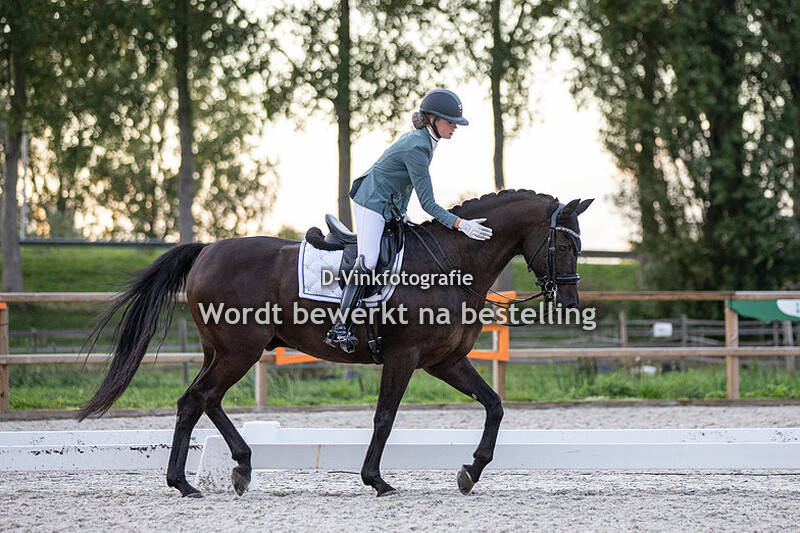 Sterre Kraaijeveld - Calvin