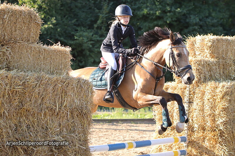 Horka Concours 03-09-2022 Rubriek 1 70cm CDE