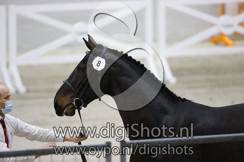 Nobel Rebel S v. Apardi