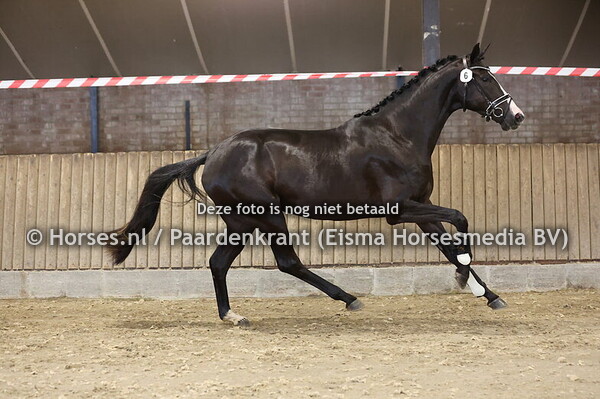 6 Sweetest Thing (Next Romancier x Kaeyla v. Ferguson)