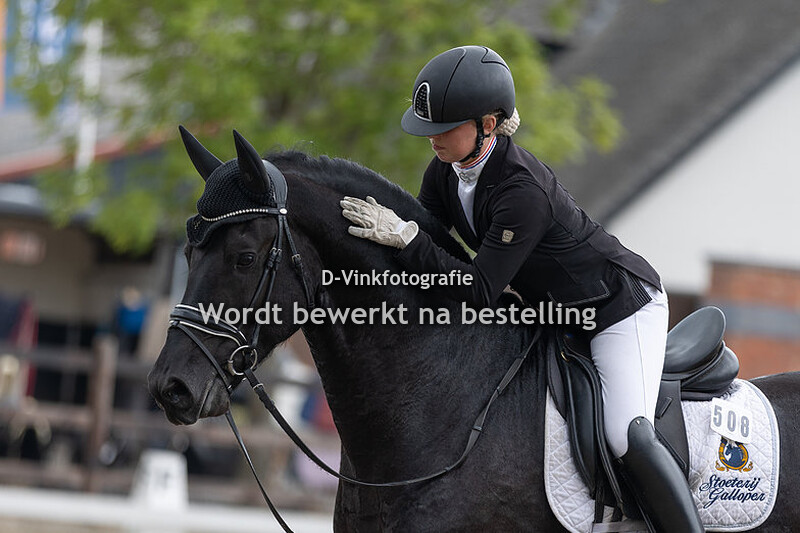 Paulette Kral - Drys Galloper