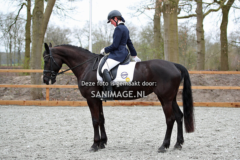 RC Henschoten Dressuur 10-04-2023 9.00 - 11.00 uur