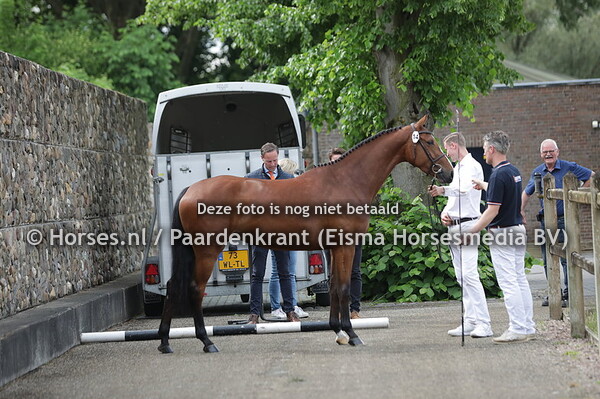 14 Okki (Kasper DDH x Kyaniek v. Lordanos)