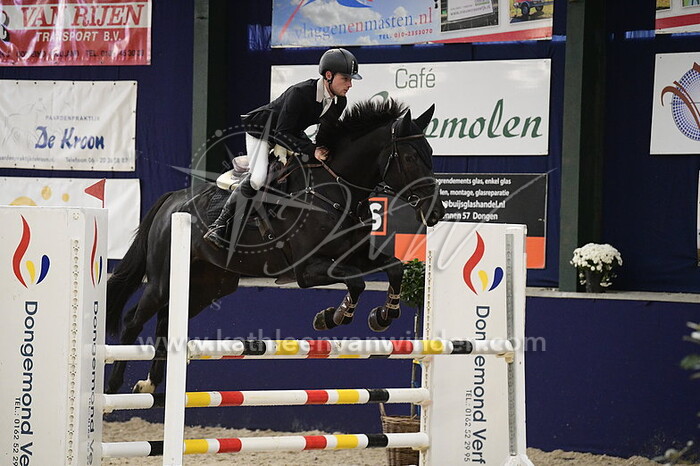 Niels Roozen - Easy Elvis BZ