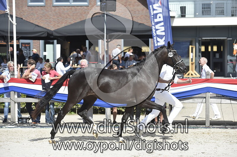 Kerrodelin E v. Governor