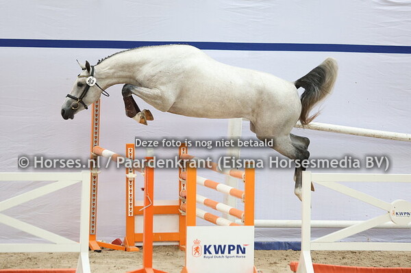 83 Sumosa (Mattias x Bumosa v. Up to Date)