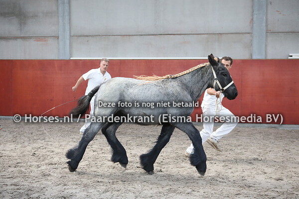 10 Liva van't Overbroek (Bram van Ruiting x Laura van't Overbroek)