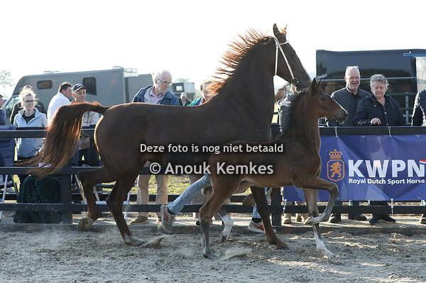 Ureda ( Olympus HS x Kordaat )