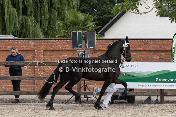 69. Yez fan de Marrewyk