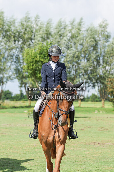 Rubriek 6: 1.20 Hak BV Prijs