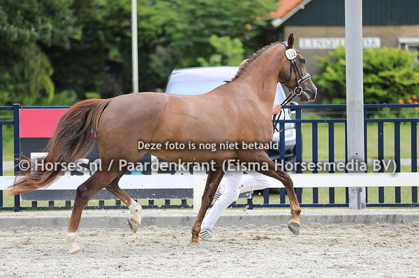 119 Hidden June v Zambuka