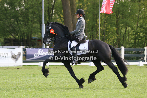 21. Tuigen onder het zadel