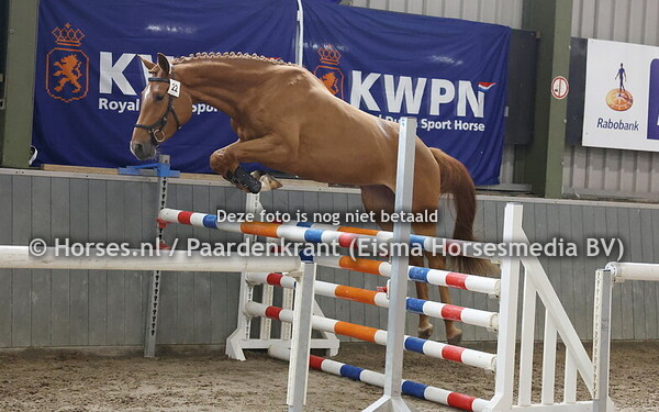 22 Rosalina (Lambada Shake AG x Calderello Z)