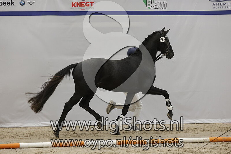 Romero Rds v. Glamourdale - 383