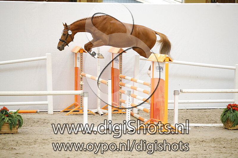 194 Lagodinus PP v. Hotspot