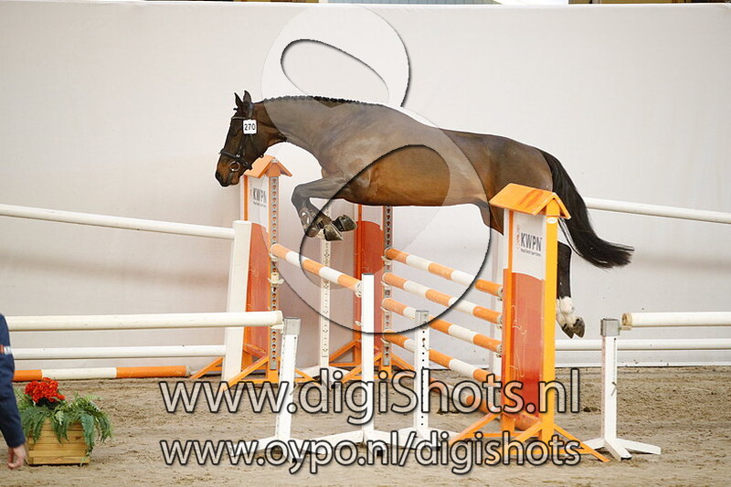 270 Linky M v. Kannan