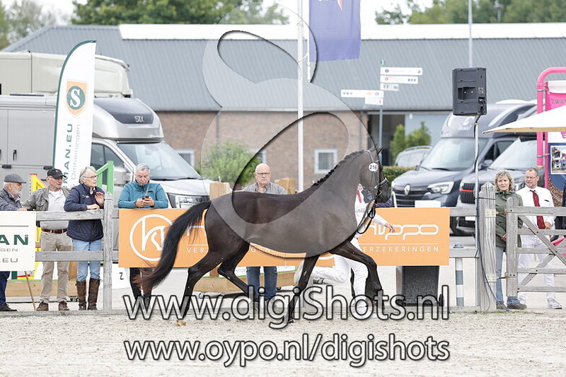 Suzella Jane v. Madienio