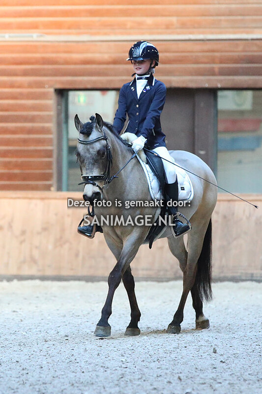 PV Midland Dressuur 26-03-2022 15.00 uur