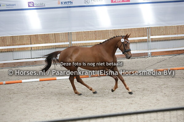 22 Kytopia (El Capone x Etopia v.  Sandro Hit