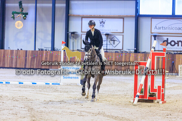 jumping indoor leunen paard 110cm 10-01-26