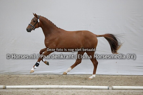 396 On Top SSF (For Romance x Galearites v. Totilas)