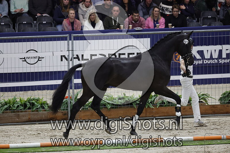 Platinum L v. Livius - 501