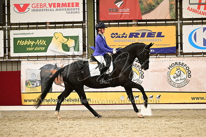 Jose van Haaren - Rose Roll