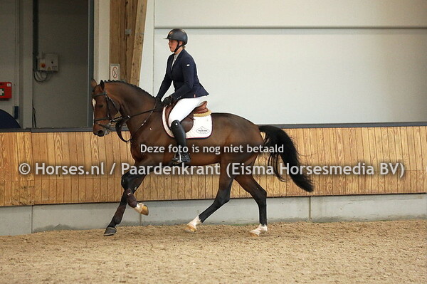 29 Luigi vd Zeijerveld SB (Lugi d'Eclipse x Nabab de Reve)