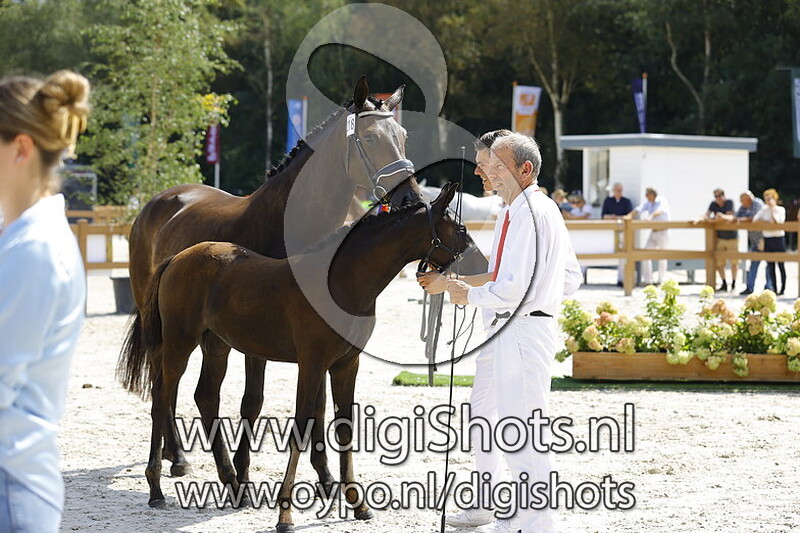 Thoreya Salland v. Nashville Star