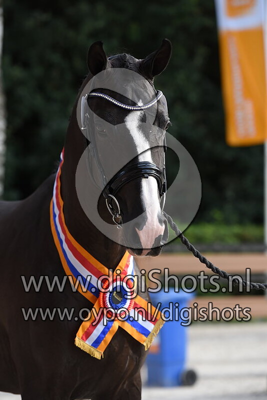 Kiss me Set v. Fellini